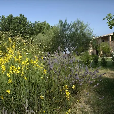 Di Charme Ripabianca בית כפרי