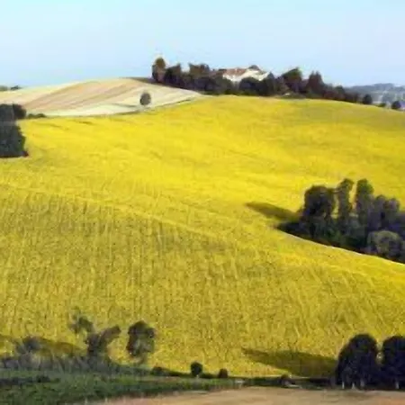 Di Charme Ripabianca לסי
